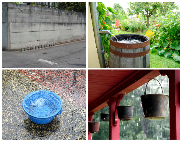  rainwater-harvesting quiz-hotspot 