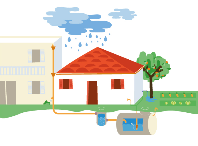  rainwater-harvesting quiz-hotspot 